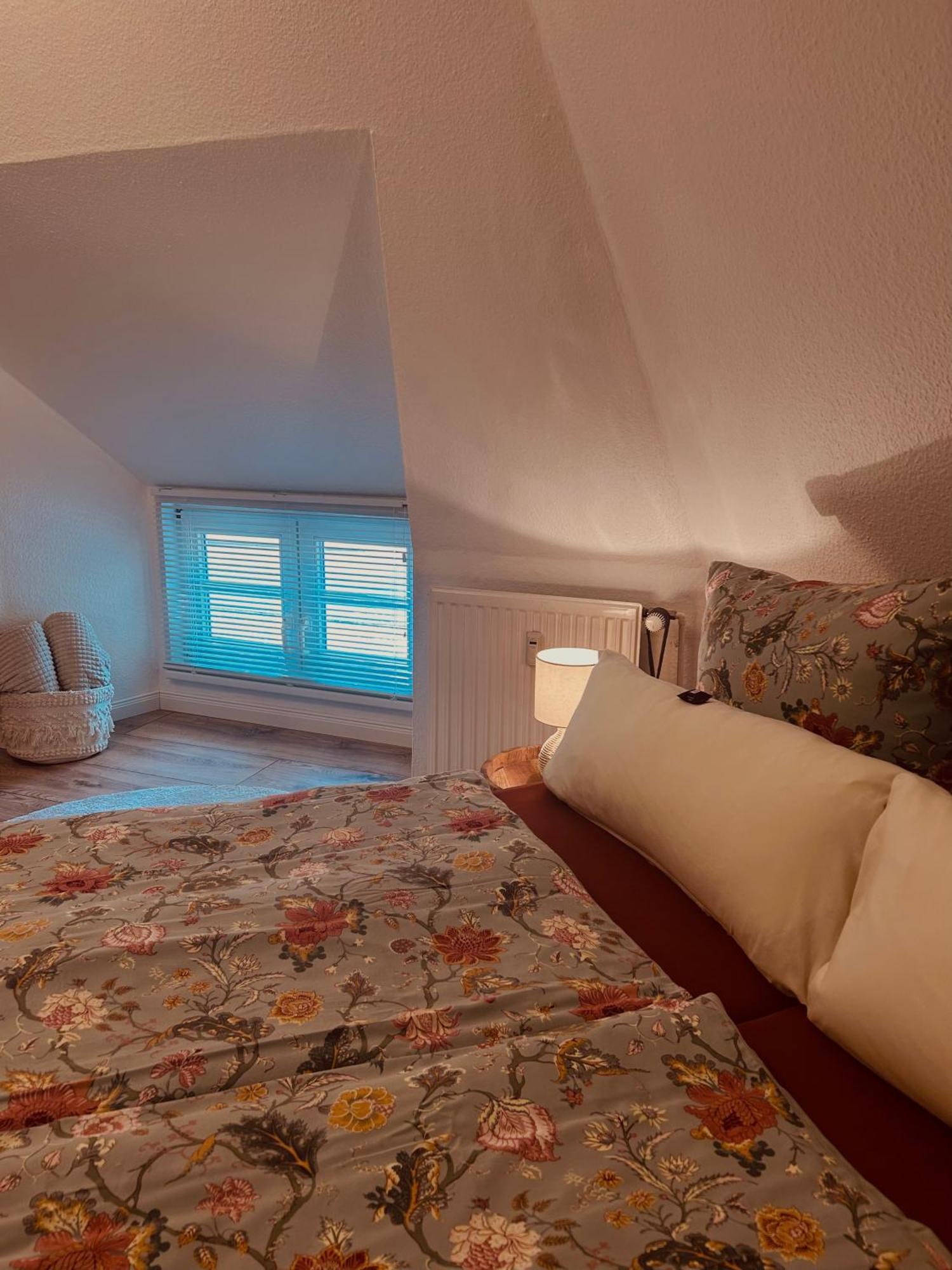 4 Wunderschoene Ferienwohnungen Im Kavaliershaus Schwerin  Eksteriør bilde